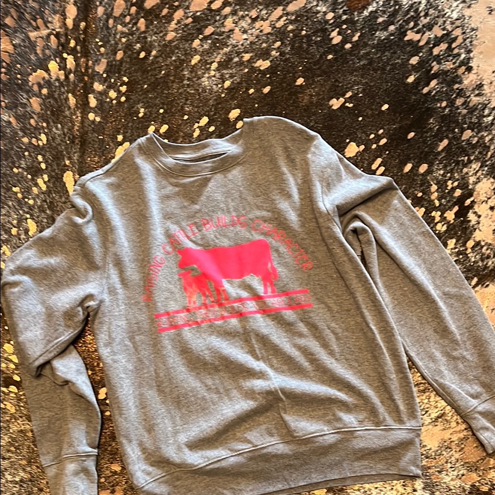 Gray and Pink Graphic girls’ Sweatshirt
